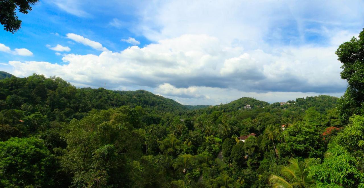 Orchid Villa Kandy Zewnętrze zdjęcie