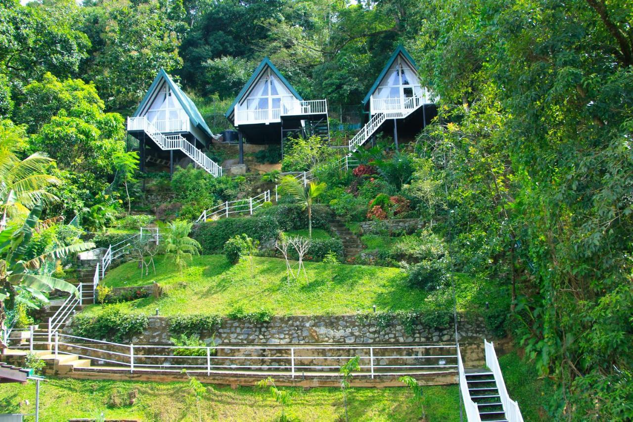 Orchid Villa Kandy Zewnętrze zdjęcie