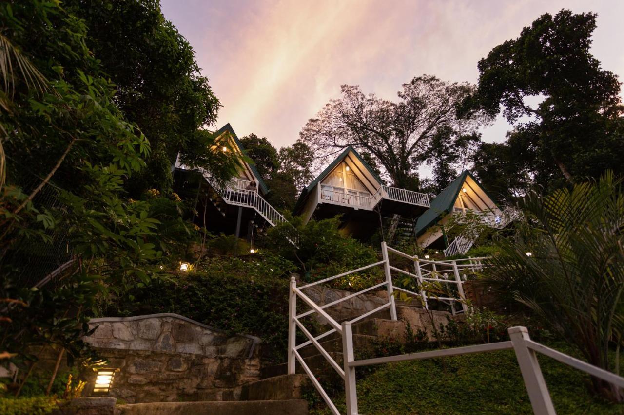 Orchid Villa Kandy Zewnętrze zdjęcie